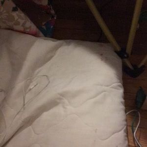 Meet your Posher, Lily